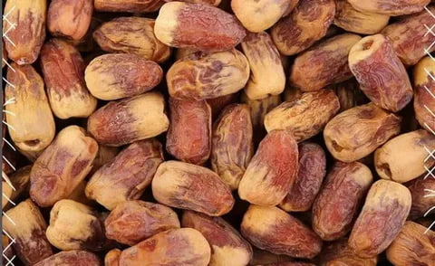 تصویر 4 از خرما زاهدی مشکین با دانه های درشت و ماندگاری بالا